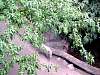 dsc05095.jpg
