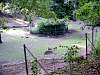 dsc05108.jpg
