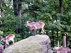dsc05122.jpg