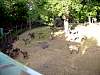 dsc05125.jpg