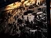 DSC05355.JPG