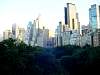 DSC05421.JPG