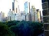 DSC05422.JPG