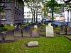 dsc05588.jpg