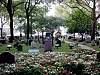 dsc05616.jpg