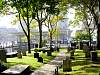 dsc05618.jpg