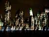 dsc05629.jpg