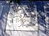 DSC07332.JPG